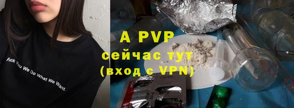 индика Беломорск