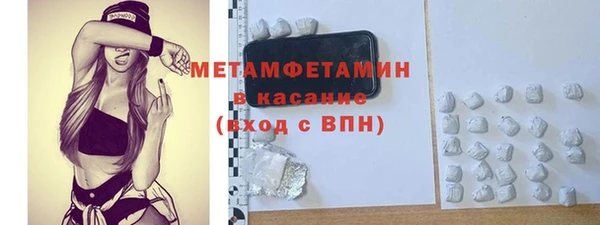 индика Беломорск