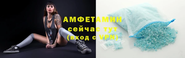 индика Беломорск